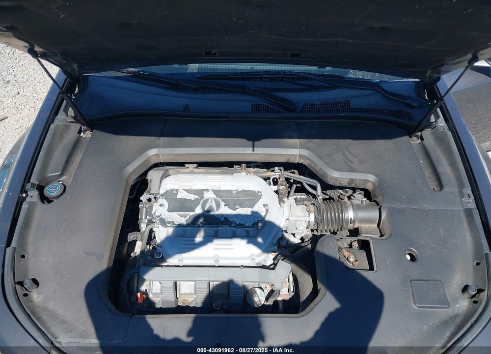2009 ACURA TL VIN: 19UUA86279A013794