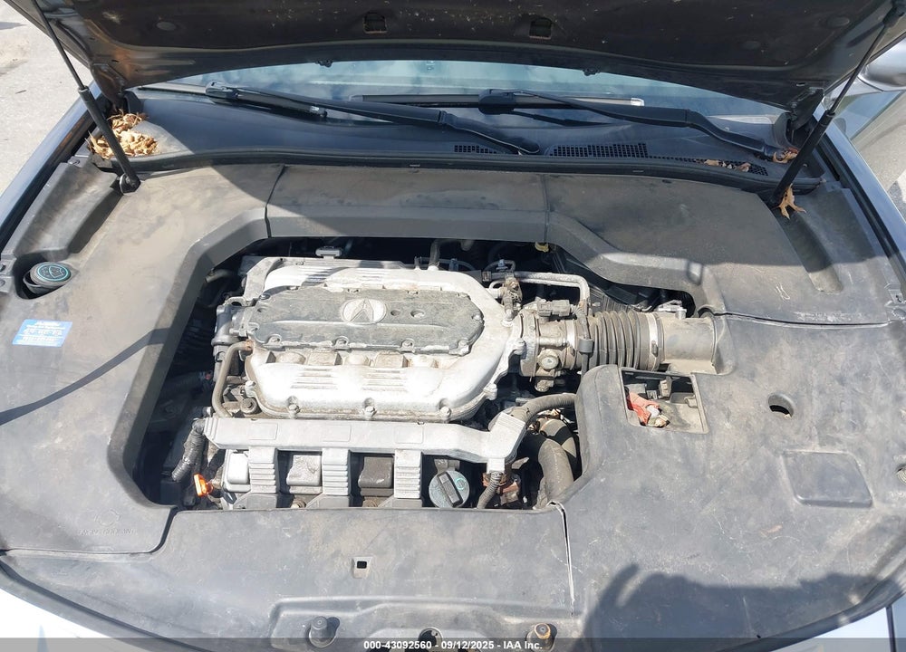 2011 ACURA TL 3.5 VIN: 19UUA8F25BA007398