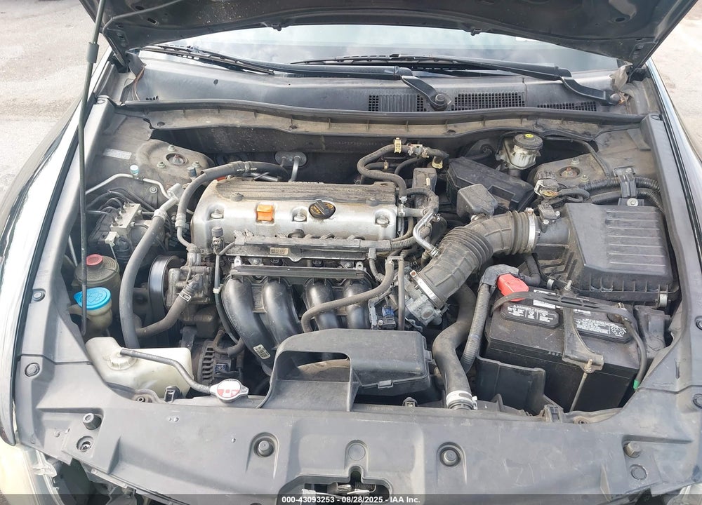 2011 HONDA ACCORD VIN: 1HGCP2F36BA065312