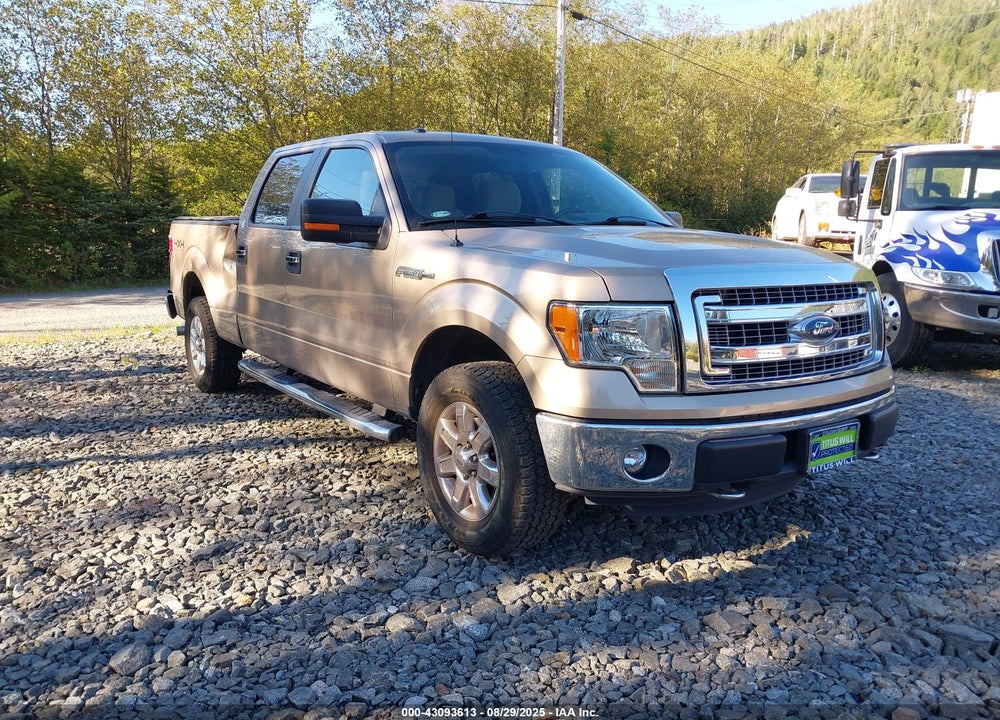 2013 FORD F-150 XLT VIN: 1FTFW1EF1DKG11614