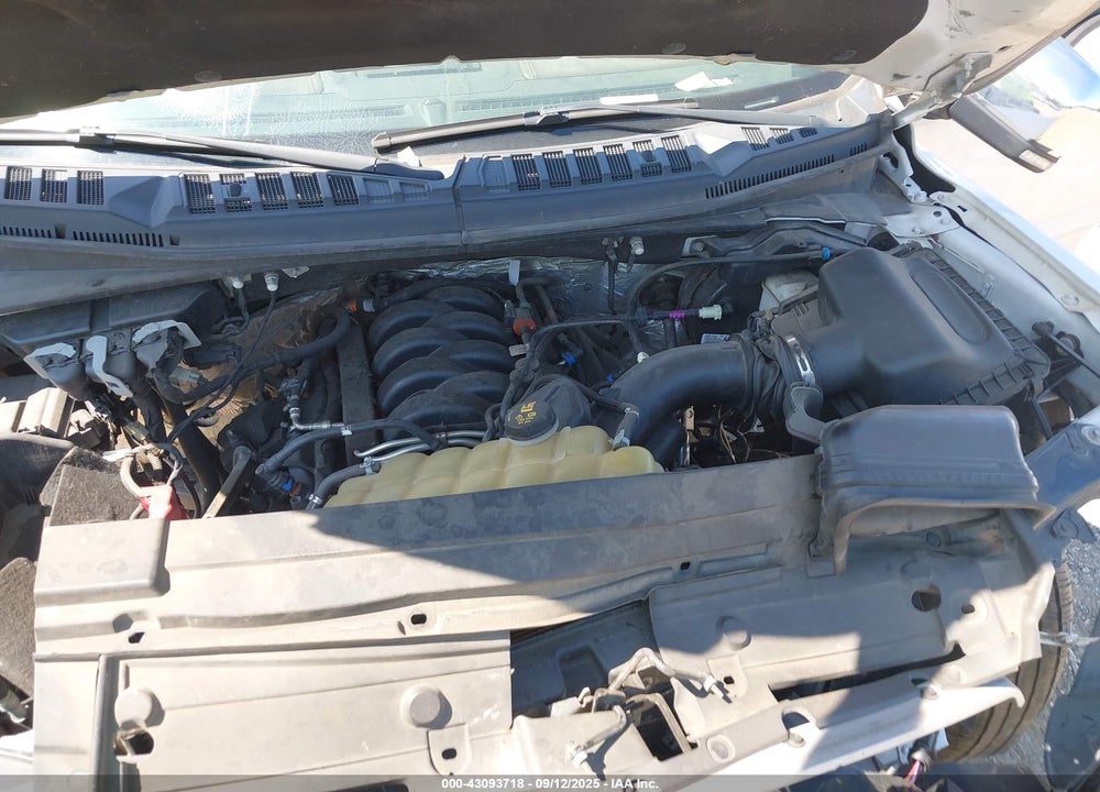 2019 FORD F-150 VIN: 1FTFW1E50KKF06499