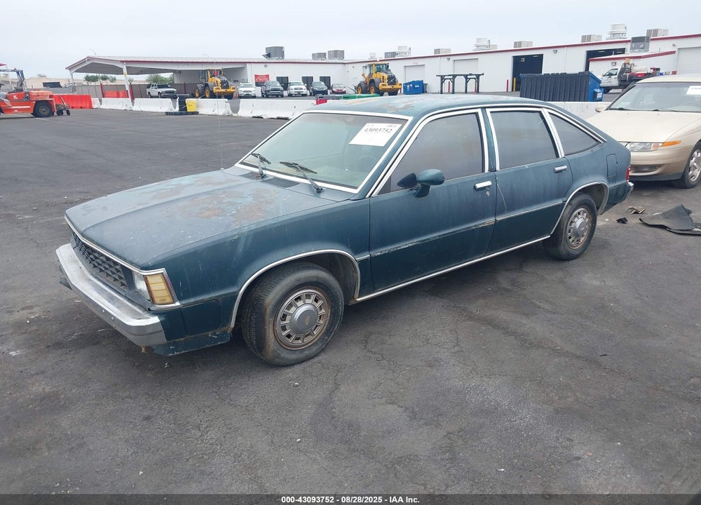 1981 CHEVROLET CITATION VIN: 1G1AX68X9B6251208
