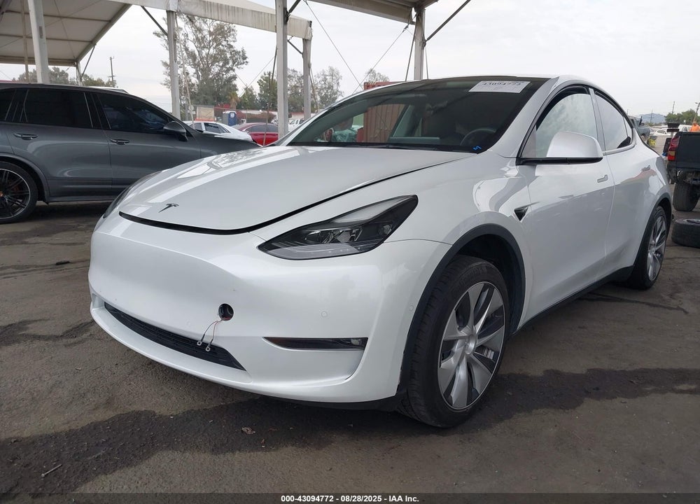 2022 TESLA MODEL Y VIN: 7SAYGDEE9NF561805