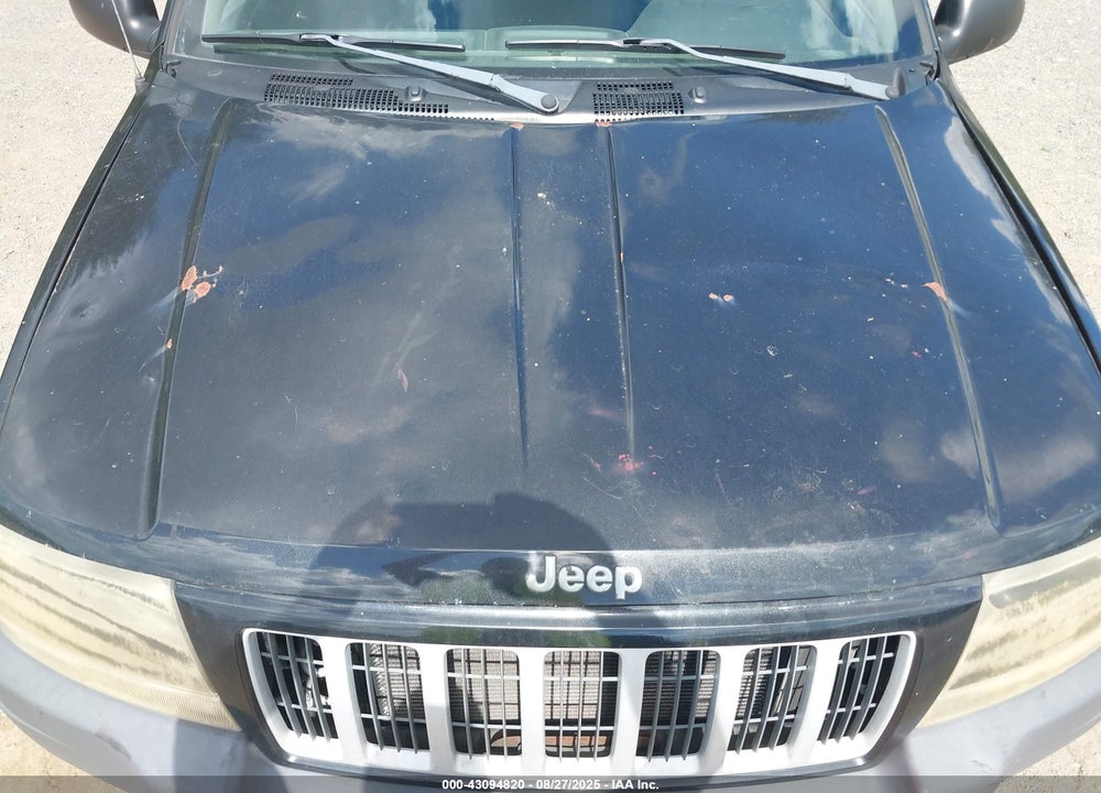 2004 JEEP GRAND CHEROKEE LAREDO VIN: 1J4GW48N14C342964