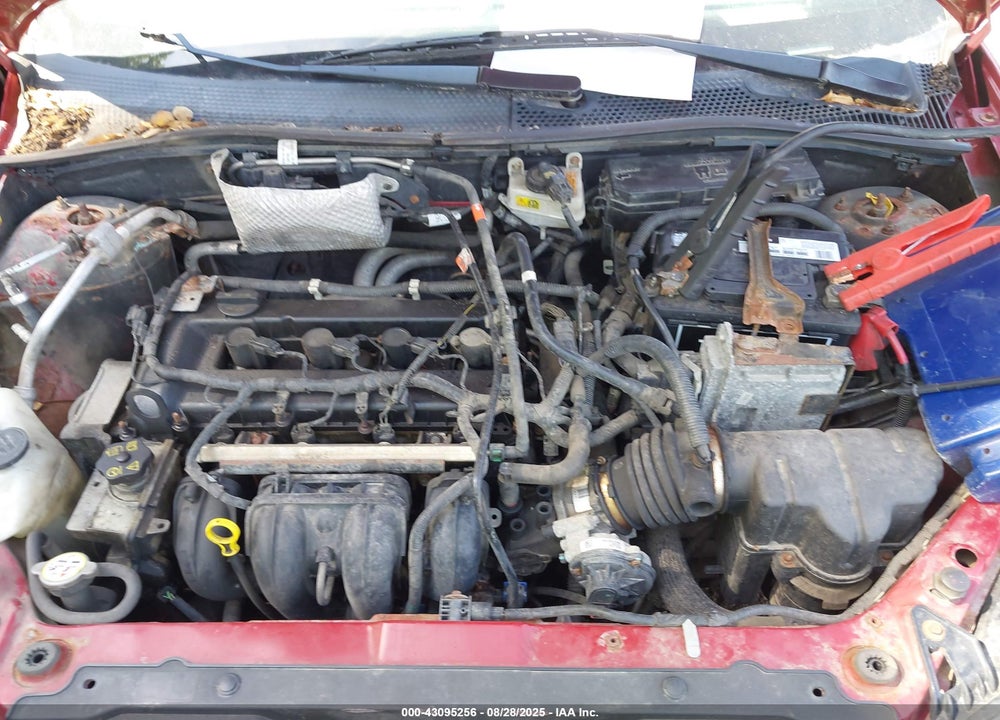 2009 FORD FOCUS VIN: 1FAHP35N89W222435