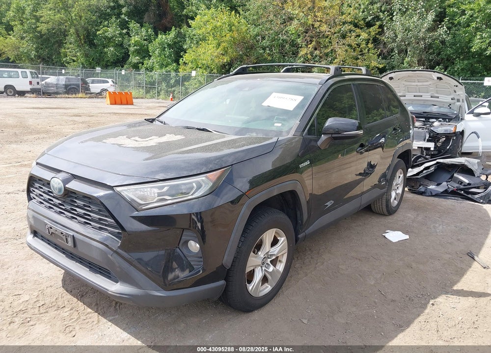 2019 TOYOTA RAV4 HYBRID VIN: JTMRWRFV4KJ016955