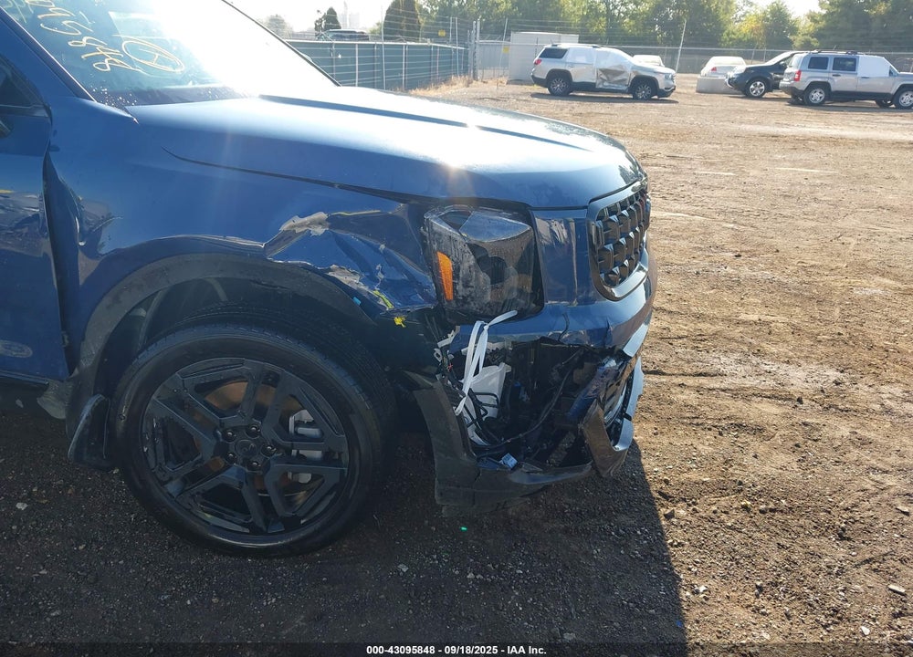 2025 KIA TELLURIDE VIN: 5XYP5DGC2SG610244