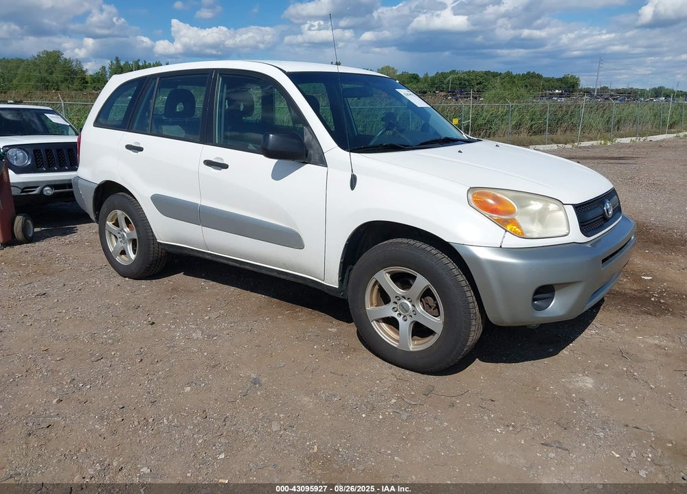 2004 TOYOTA RAV4 VIN: JTEGD20V840001019