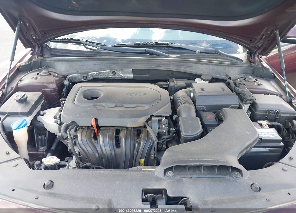2017 KIA OPTIMA VIN: 5XXGT4L36HG123427