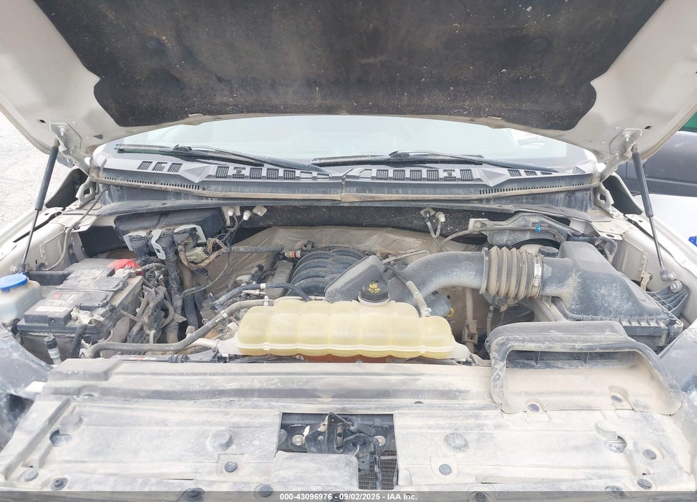 2019 FORD F-150 XLT VIN: 1FTEW1E54KKD52102