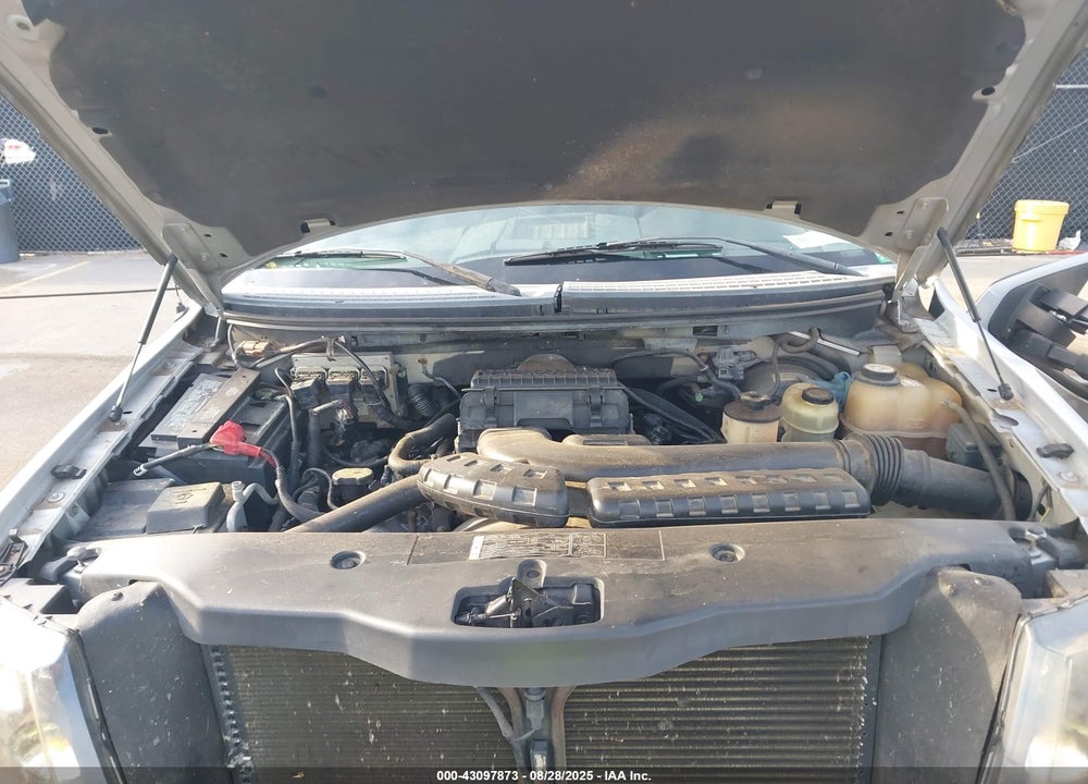 2006 FORD F-150 VIN: 1FTPX145X6NA67769
