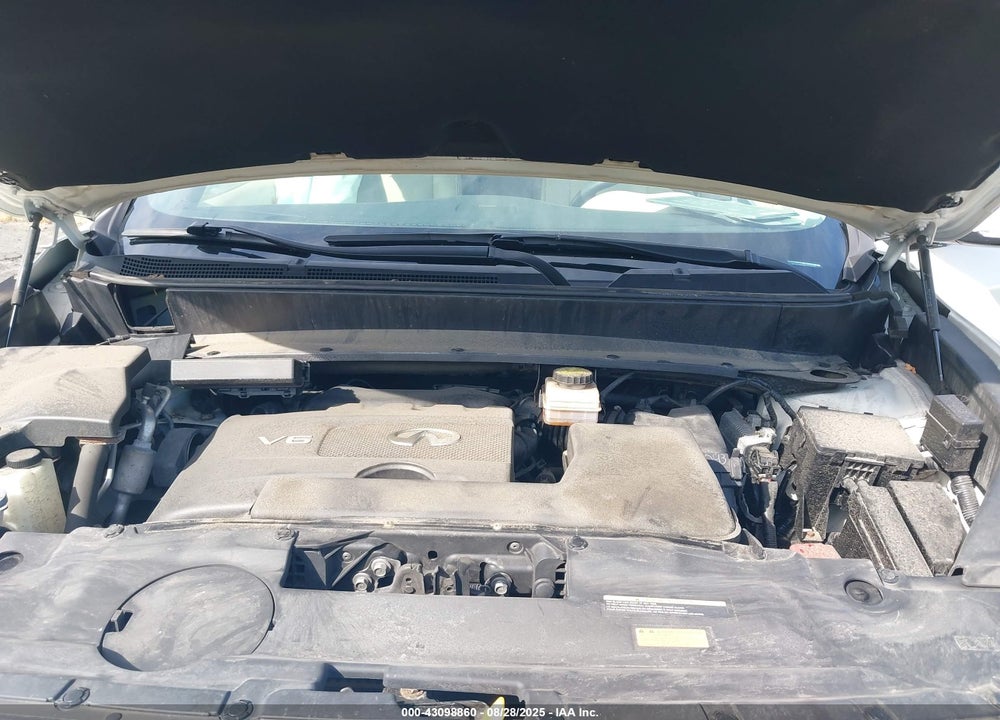 2020 INFINITI QX60 VIN: 5N1DL0MM8LC538935