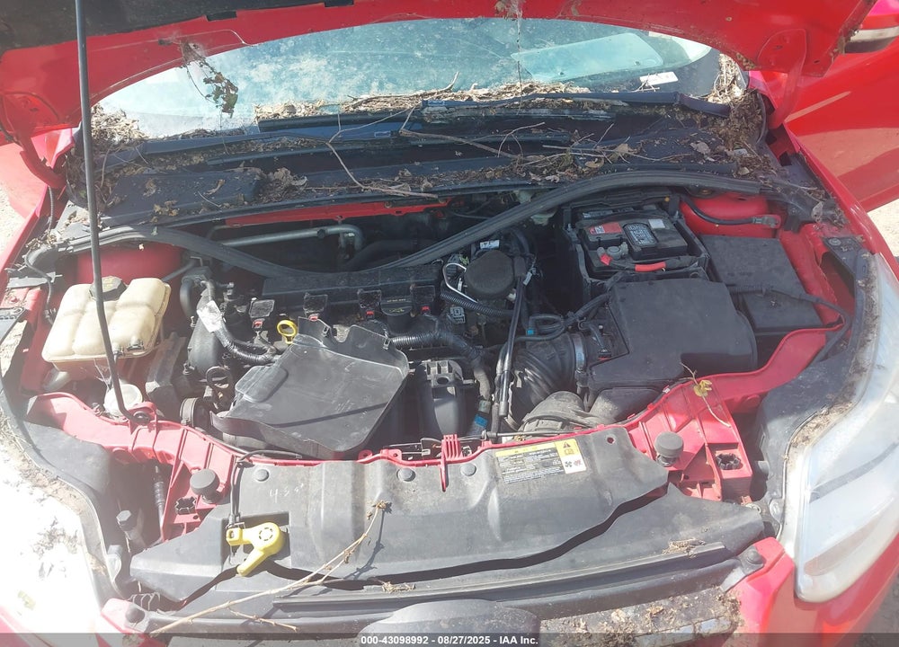2014 FORD FOCUS SE VIN: 1FADP3F23EL209932