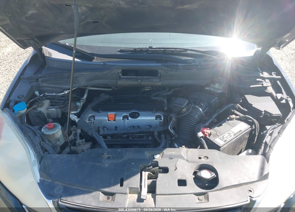 2010 HONDA CR-V EX-L VIN: 5J6RE4H79AL804745