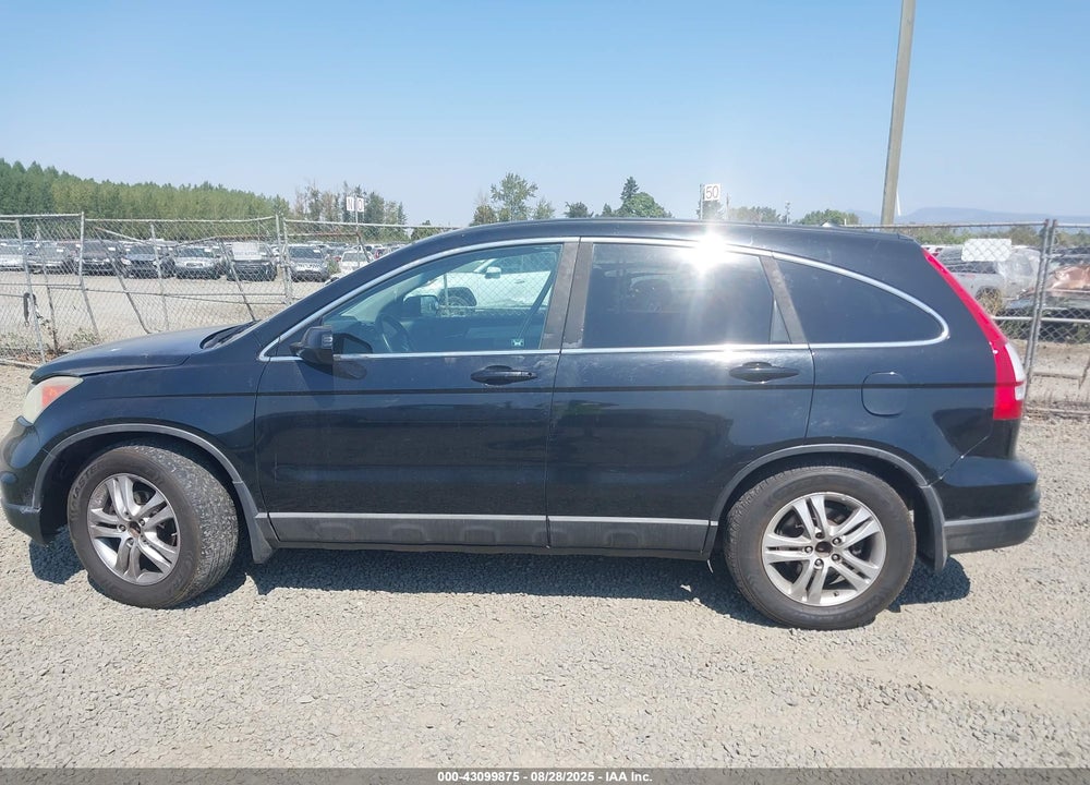 2010 HONDA CR-V EX-L VIN: 5J6RE4H79AL804745