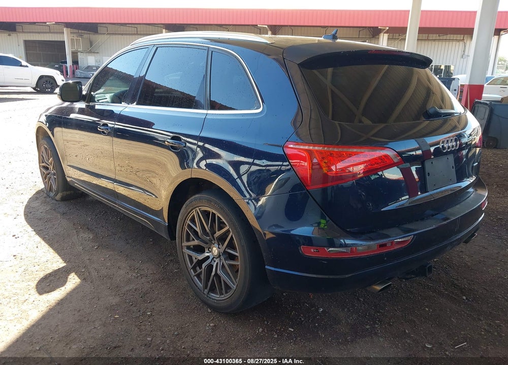 2009 AUDI Q5 VIN: WA1KK78R59A020244