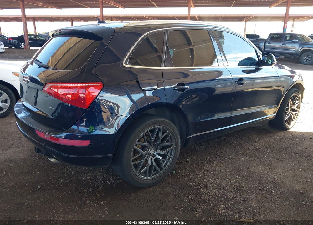 2009 AUDI Q5 VIN: WA1KK78R59A020244