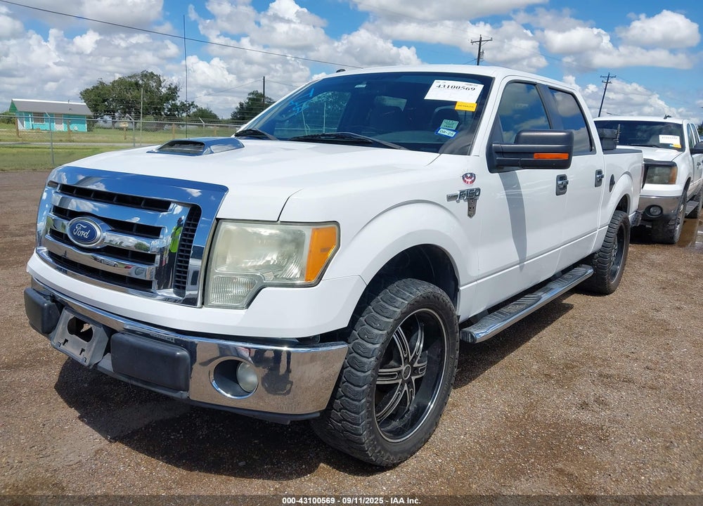 2011 FORD F-150 VIN: 1FTFW1CF9BKD26174