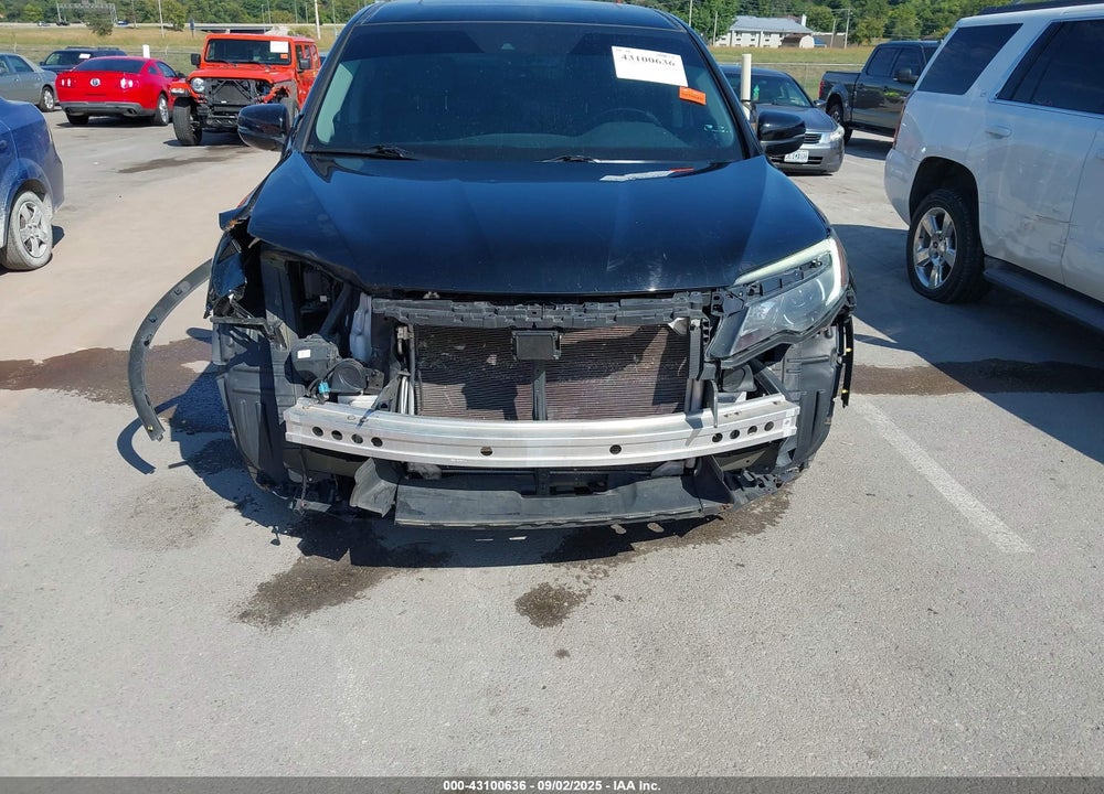 2019 HONDA PILOT VIN: 5FNYF6H47KB009018