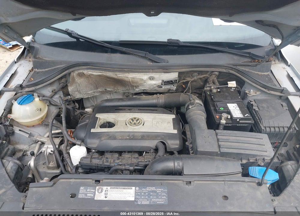 2010 VOLKSWAGEN TIGUAN VIN: WVGAV7AX3AW523825