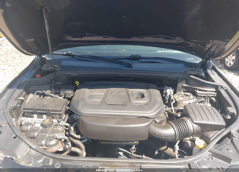 2019 JEEP GRAND CHEROKEE VIN: 1C4RJEAG1KC673233