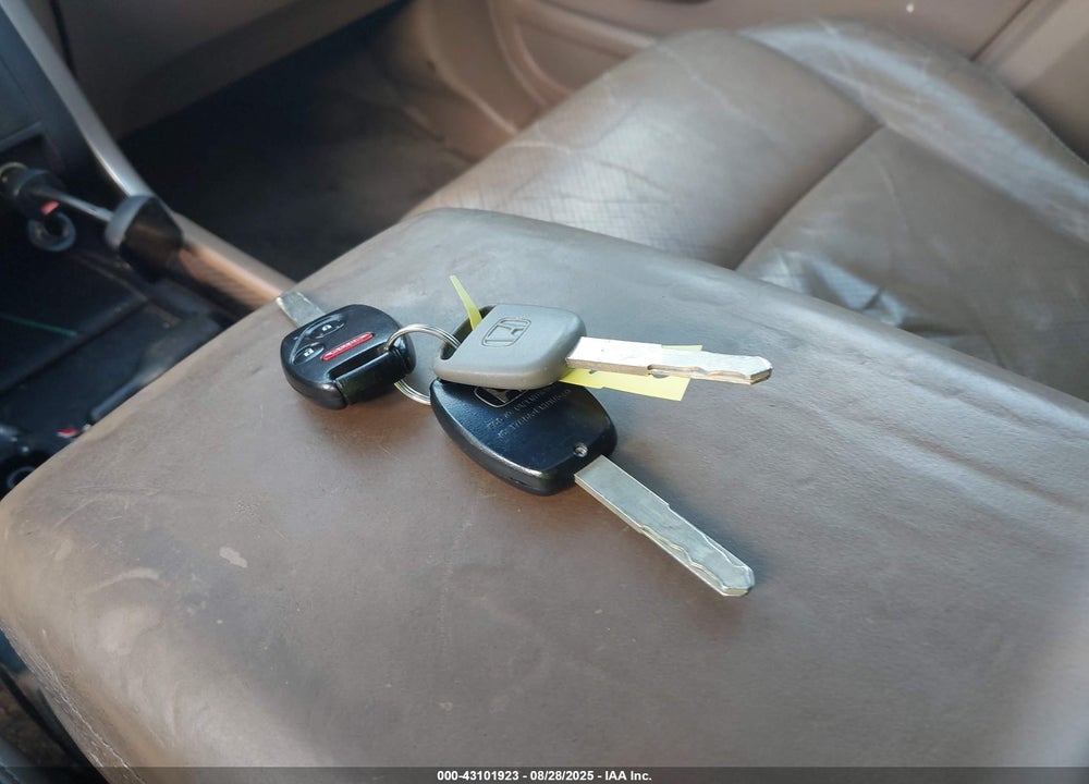 2005 HONDA PILOT EX-L VIN: 5FNYF185X5B011409