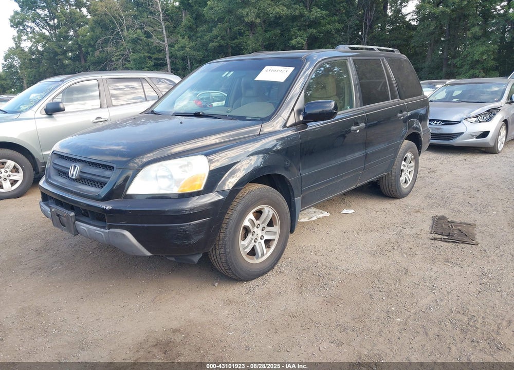 2005 HONDA PILOT EX-L VIN: 5FNYF185X5B011409