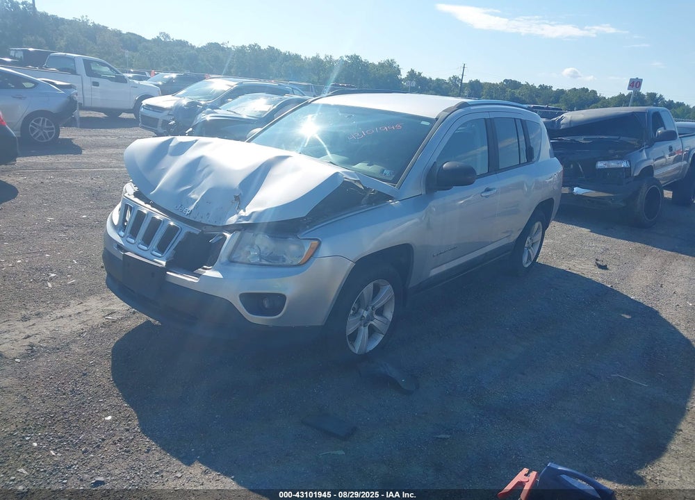 2011 JEEP COMPASS VIN: 1J4NF1FB7BD141835