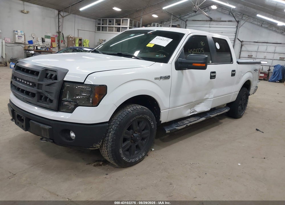 2011 FORD F-150 XLT VIN: 1FTFW1EF8BKD76867