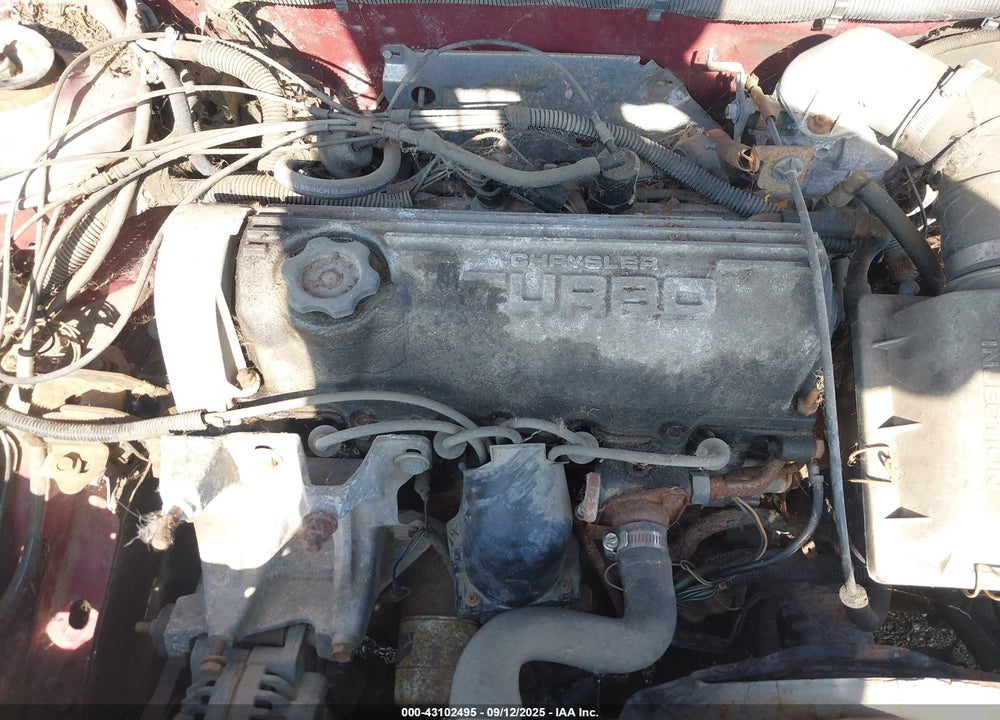 1987 DODGE SHELBY CHARGER VIN: 1B3BZ64E3HD304646