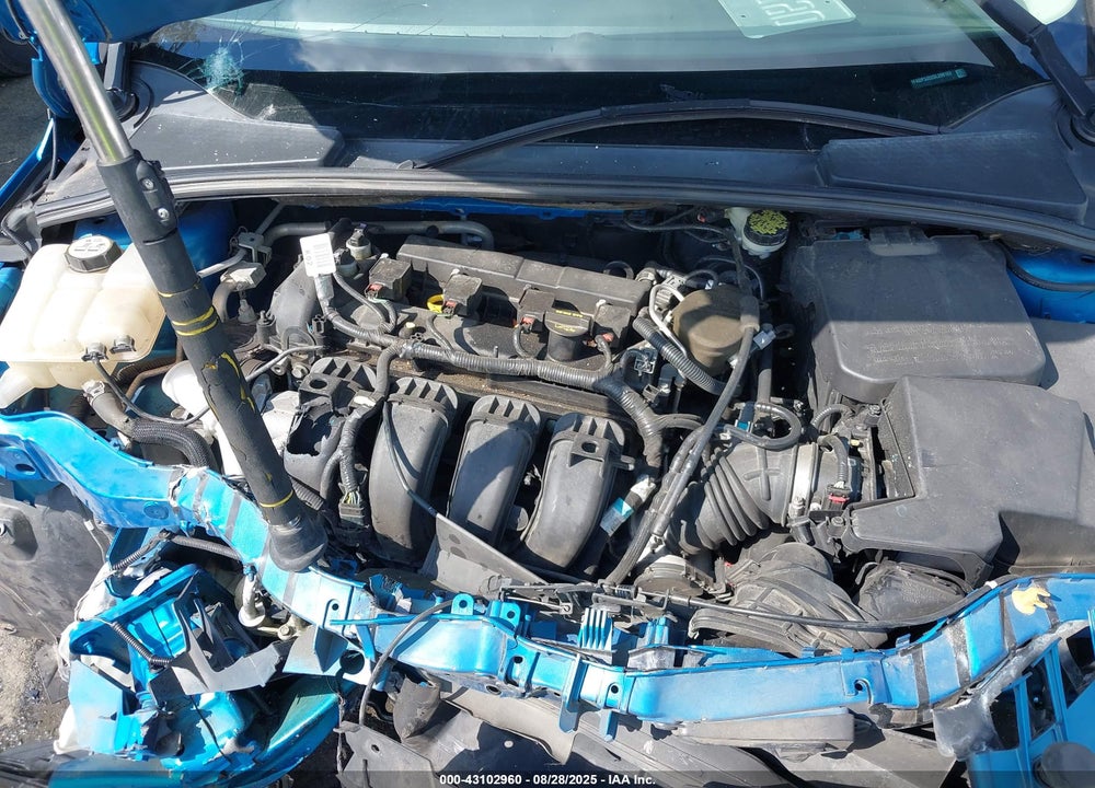 2013 FORD FOCUS VIN: 1FADP3J22DL208163