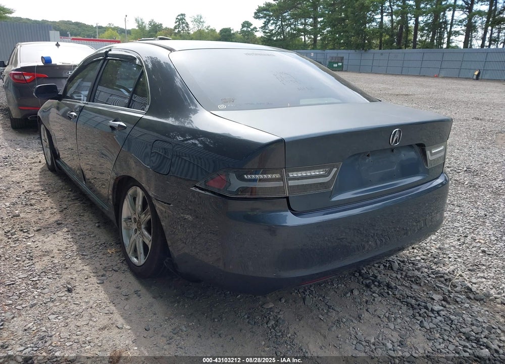 2004 ACURA TSX VIN: JH4CL96834C031705