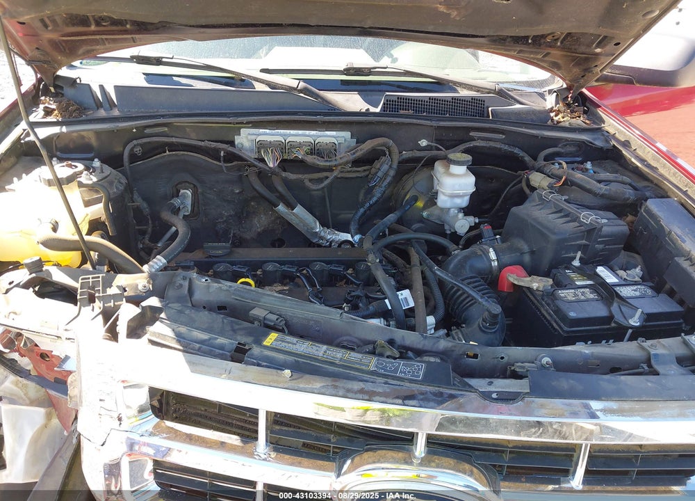 2011 FORD ESCAPE XLS VIN: 1FMCU0C79BKA80170