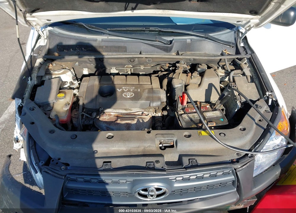 2010 TOYOTA RAV4 VIN: 2T3BF4DV5AW081336