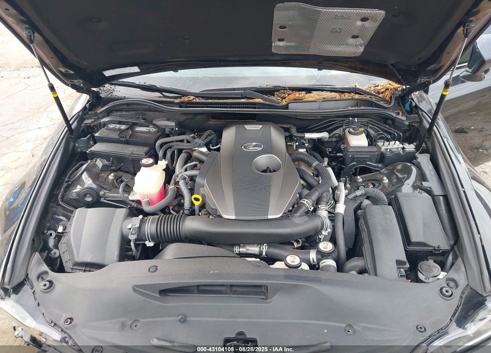 2019 LEXUS IS 300 VIN: JTHBA1D21K5096037