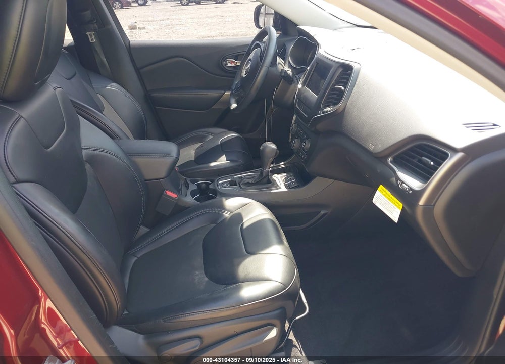 2019 JEEP CHEROKEE VIN: 1C4PJLLX8KD173699