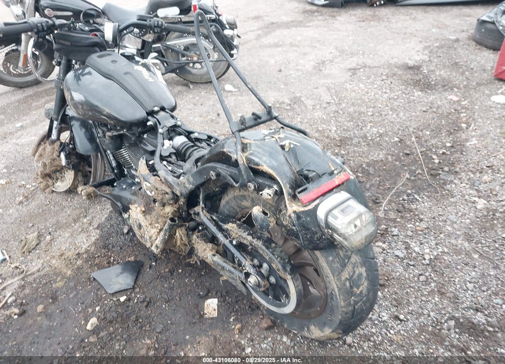 2023 HARLEY-DAVIDSON FXLRS VIN: 1HD1YWZ13PB066177