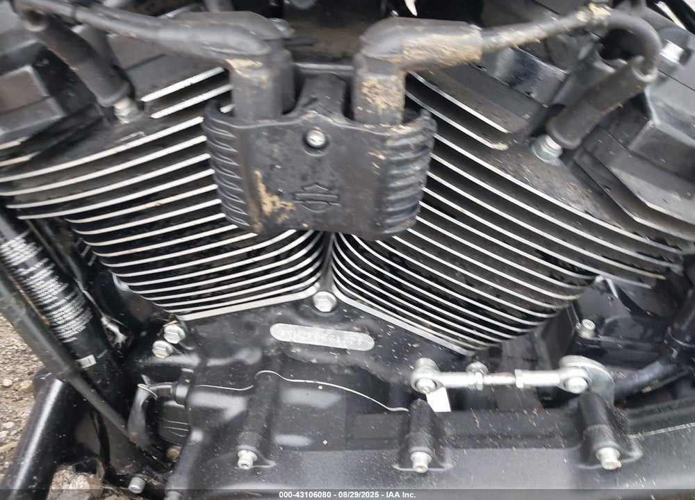 2023 HARLEY-DAVIDSON FXLRS VIN: 1HD1YWZ13PB066177