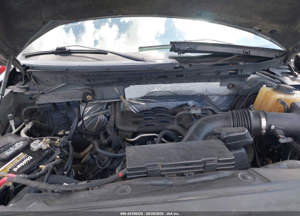 2011 FORD F-150 VIN: 1FTFW1EF1BFC00624