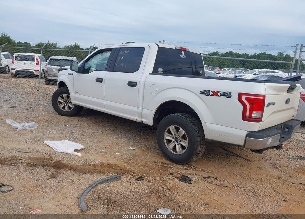 2015 FORD F-150 XLT VIN: 1FTEW1EP4FKD40023