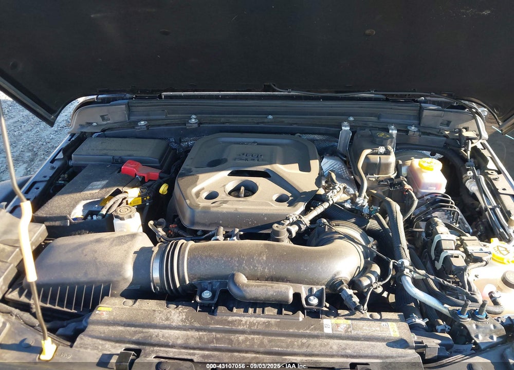 2024 JEEP WRANGLER / VIN: 1C4PJXDN0RW112544