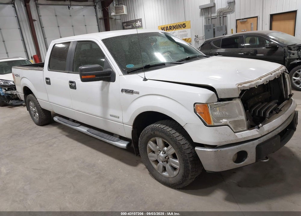 2011 FORD F-150 XLT VIN: 1FTFW1ET7BFB77677