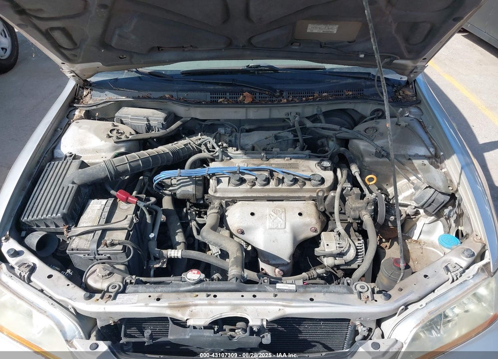 1998 HONDA ACCORD LX VIN: 1HGCG5640WA190404