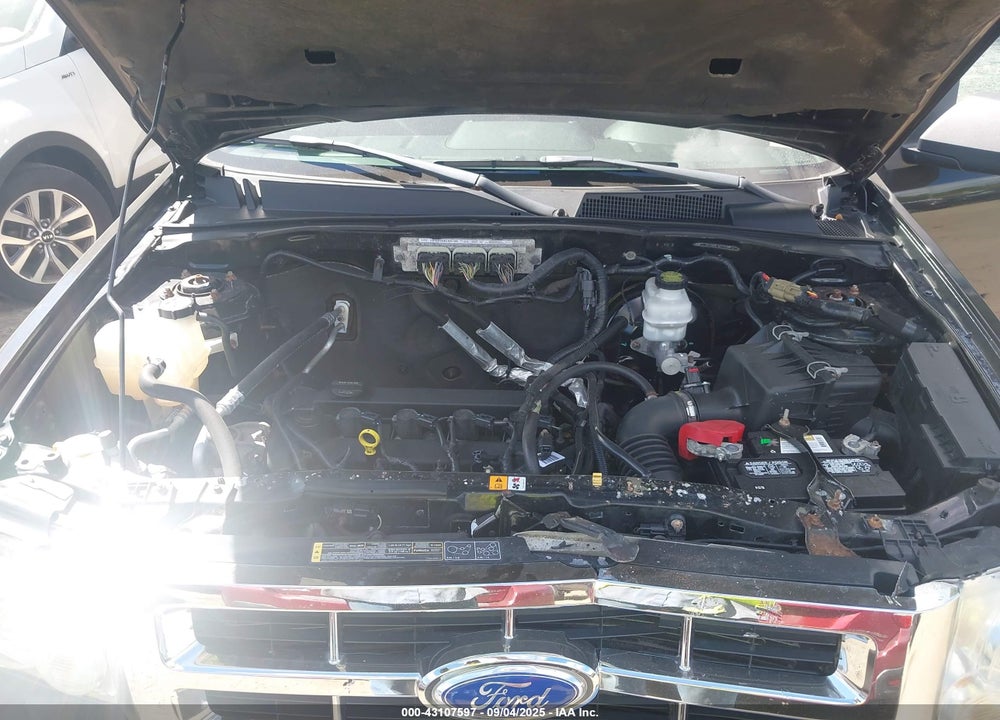 2011 FORD ESCAPE VIN: 1FMCU0D79BKC07983