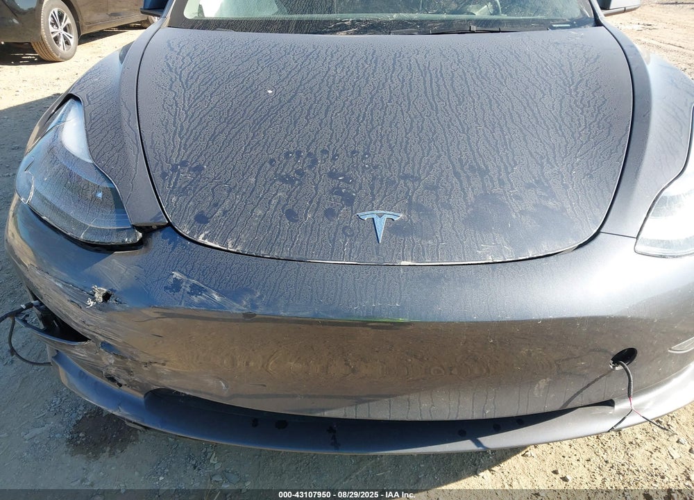 2023 TESLA MODEL 3 VIN: 5YJ3E1EA4PF569743