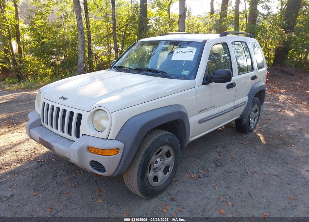 2002 JEEP LIBERTY SPORT VIN: 1J4GK48K22W150806