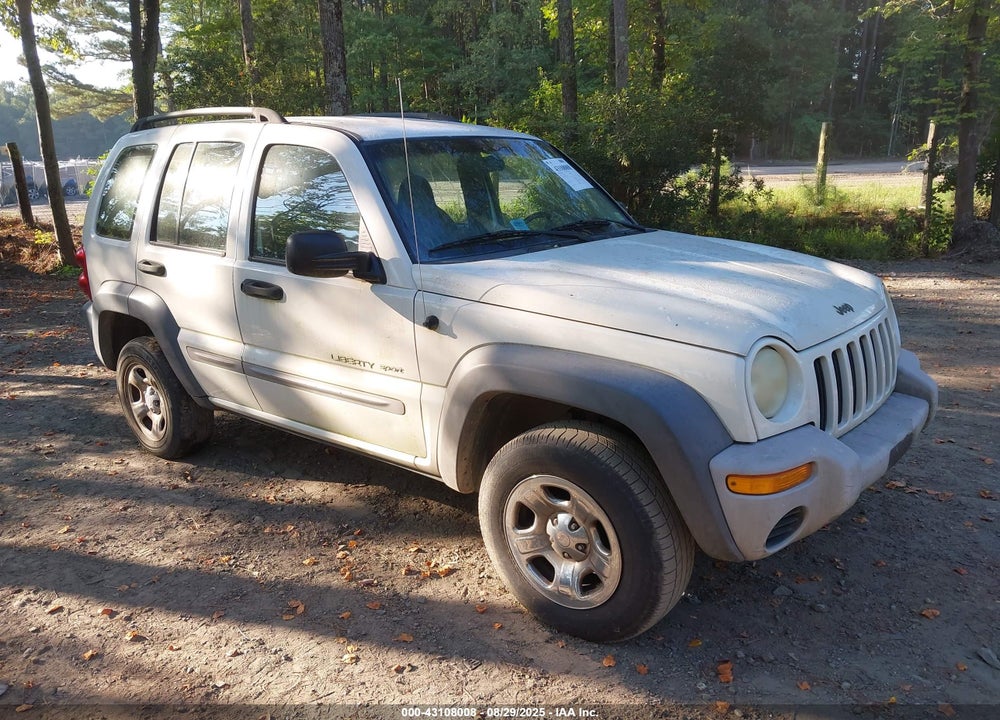 2002 JEEP LIBERTY SPORT VIN: 1J4GK48K22W150806