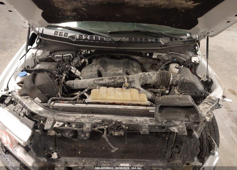 2019 FORD F-150 XLT VIN: 1FTEW1E43KKE62257