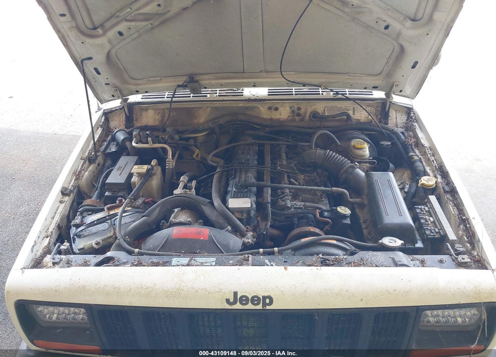 1998 JEEP CHEROKEE CLASSIC/SPORT VIN: 1J4FT68S1WL249094