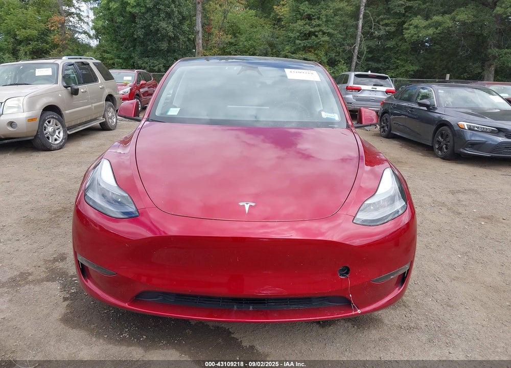 2024 TESLA MODEL Y VIN: 7SAYGAEE9RF116145